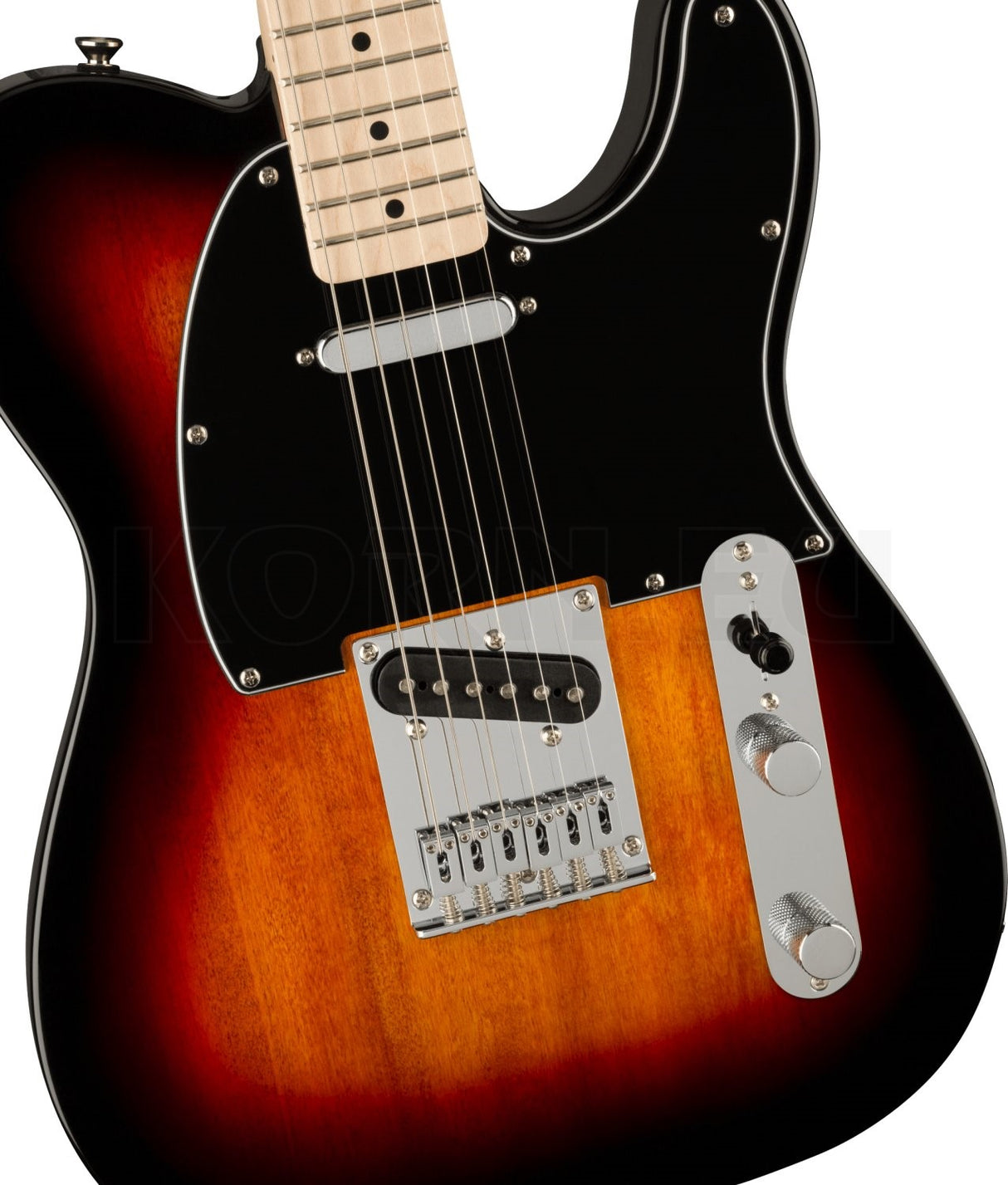 Squier Affinity Tele MN BPG 3TS elektrinė gitara